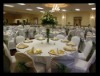 Wholesale poly chair cover