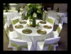 Wholesale poly chair cover