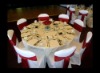 Wholesale poly chair cover