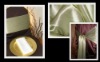 Wholesale poly chair cover