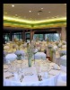 Wholesale poly chair cover