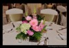 Wholesale poly chair cover