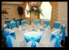 Wholesale poly chair cover