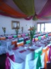 Wholesale poly chair cover
