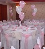 Wholesale poly chair cover