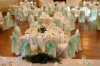 Wholesale poly chair cover
