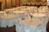 Wholesale poly chair cover