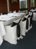 Wholesale poly chair cover