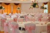 Wholesale poly chair cover