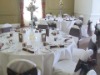 Wholesale poly chair cover