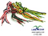 Wholesale fashion shoe lace