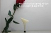 Wholesale Sexy&Fashion Ladies hight heel
