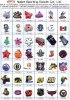 clog shoe charms