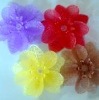 Wholesale shoes flower