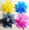 shoes flower
