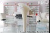 Wholesale Model lades shoes heel& Fashion ladies shoes heel