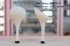 Wholesale 2011 Model lades shoes heel& Fashion ladies shoes heel