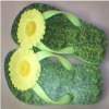 EVA slippers/EVA beach slipper