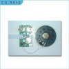 Wholesale pre-recorded sound module/voice module chip/melody sound module