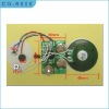 Wholesale toy's sound module, greeting card voice module chip , otp voice chip