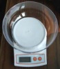 compact scale