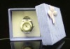 Wholesale design plastic watch, designer ring watches