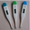 Waterproof Digital Thermometer
