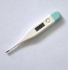 electronic thermometer