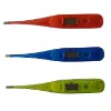 Transparent Digital Thermometer WDDT-01A