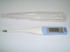 digital thermometer