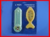 2pack Thermometer
