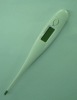 Wholesale Water resistance digital thermometer