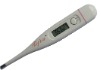 Wholesale Digital thermometer-basal use