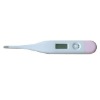 Wholesale High Accuracy Digital Thermometer(Basal) WDDT-02