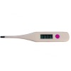 Wholesale Digital Thermometer