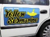 Wholesale 2010 Hot Sell Large and Cool Body Car Bumper Sticker