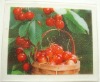 Wholesale Car Stickers