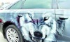 Wholesale removable self adhesive vinyl