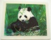 Wholesale Car Stickers