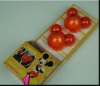 Wholesale gel auto air freshener( 2pcs Per set)