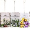 Wholesale Car freshener
