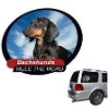 Wholesale car window sticker