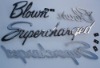 Wholesale Plastic Chrome Car logo