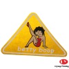 Wholesale Removable Car Sticker