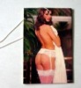 Wholesale Brand air fresheners
