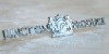 Wholesale Auto chrome badge