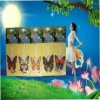 Wholesale Hanging Air Fresheners