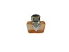 Wholesale fashion car perfume