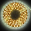 Wholesale 2011 fashion 3528 car LED light lamps