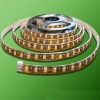 Wholesale 2011 fashion 3528 car LED light lamps